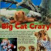ALAN DART Big Cat Crazy sewing pattern - Image 2