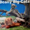 ALAN DART Big Cat Crazy sewing pattern - Image 5