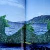 Knit your own Scotland by Jackie Holt and Ruth Bailey - Image 9