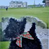 Knit your own Scotland by Jackie Holt and Ruth Bailey - Image 11
